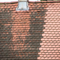 Causes of Mold and Mildew Growth on Roofs