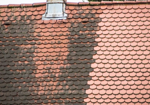 Causes of Mold and Mildew Growth on Roofs