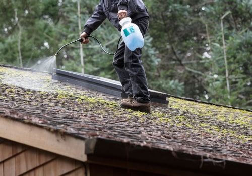 A Comprehensive Guide to Moss and Algae Removal for Arizona Roof Maintenance